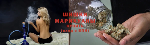 хмурый Бронницы